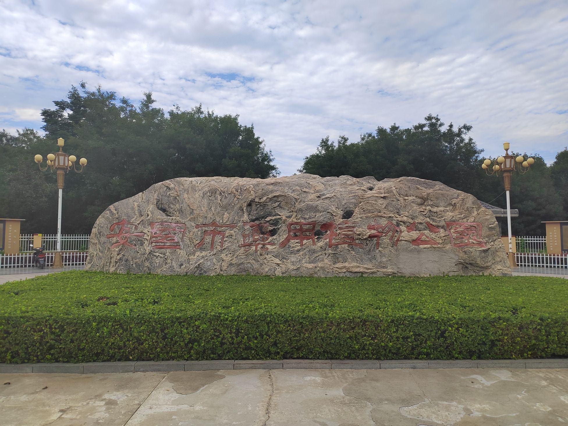 安国市药用植物公园旅行图片 3