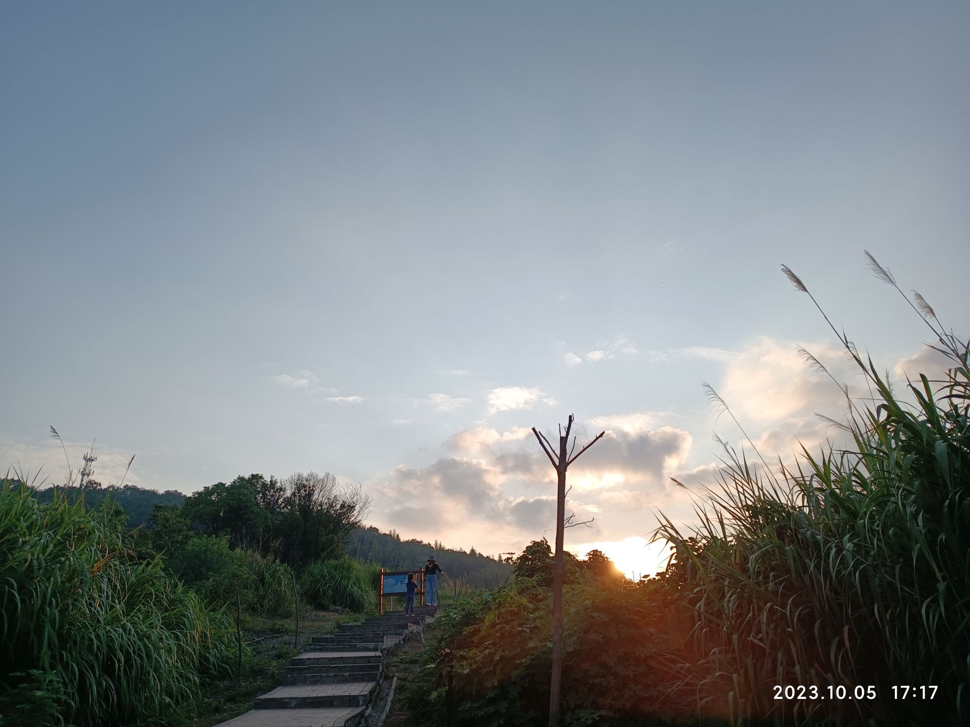 金霞山森林公园旅行图片 2