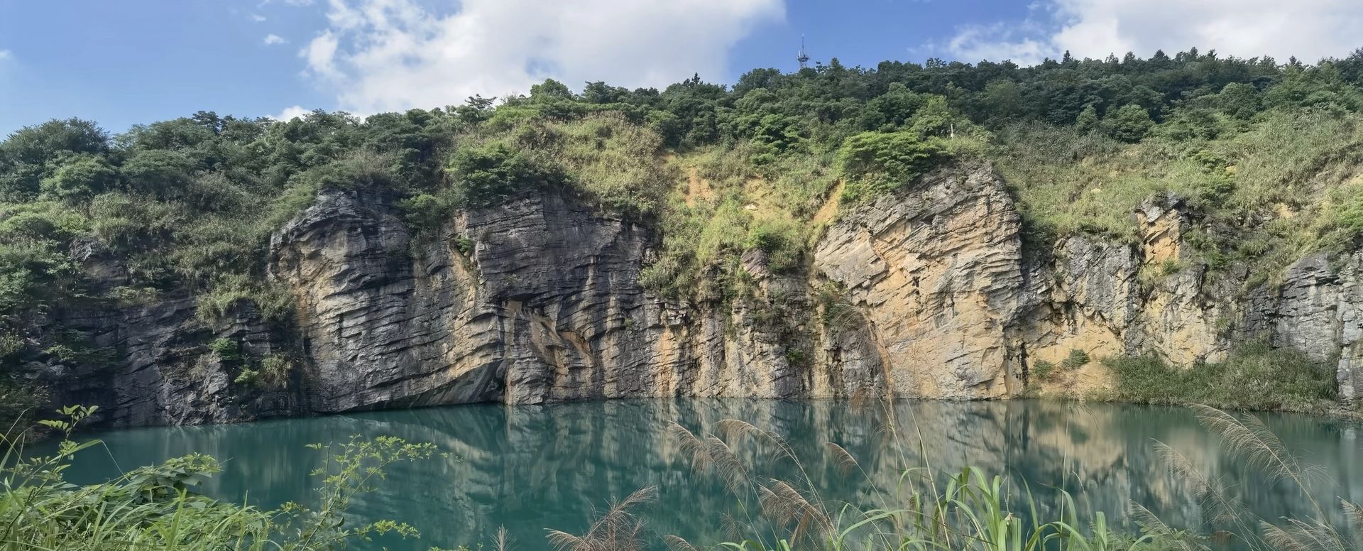 金霞山森林公园