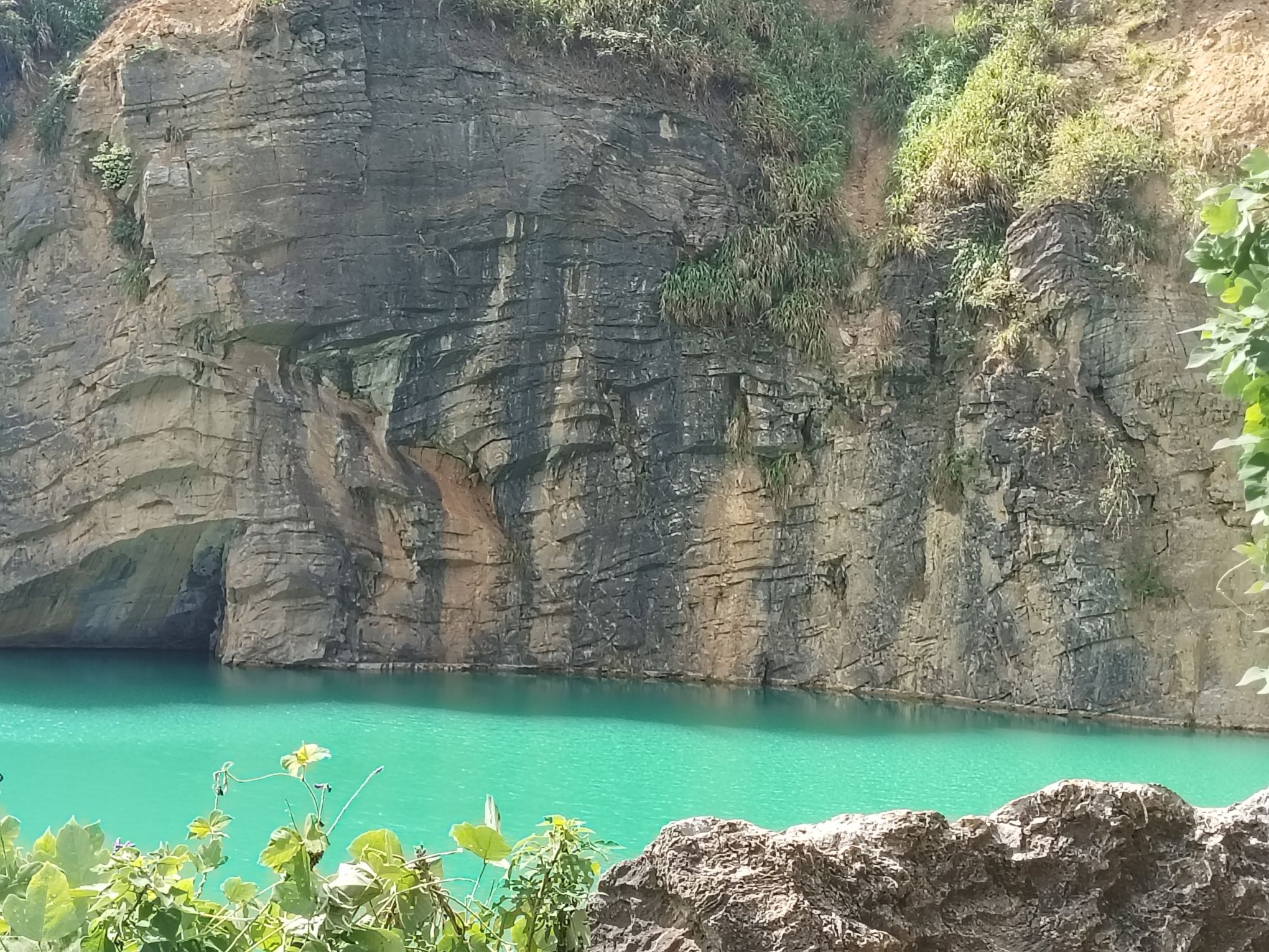 金霞山森林公园旅行图片 1