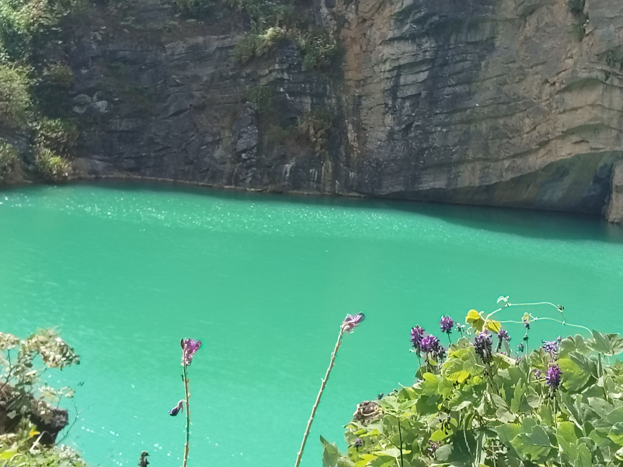 金霞山森林公园旅行图片 2