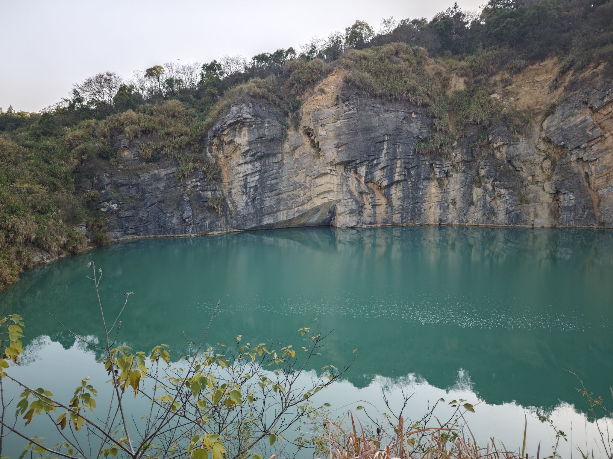 金霞山森林公园旅行图片 1