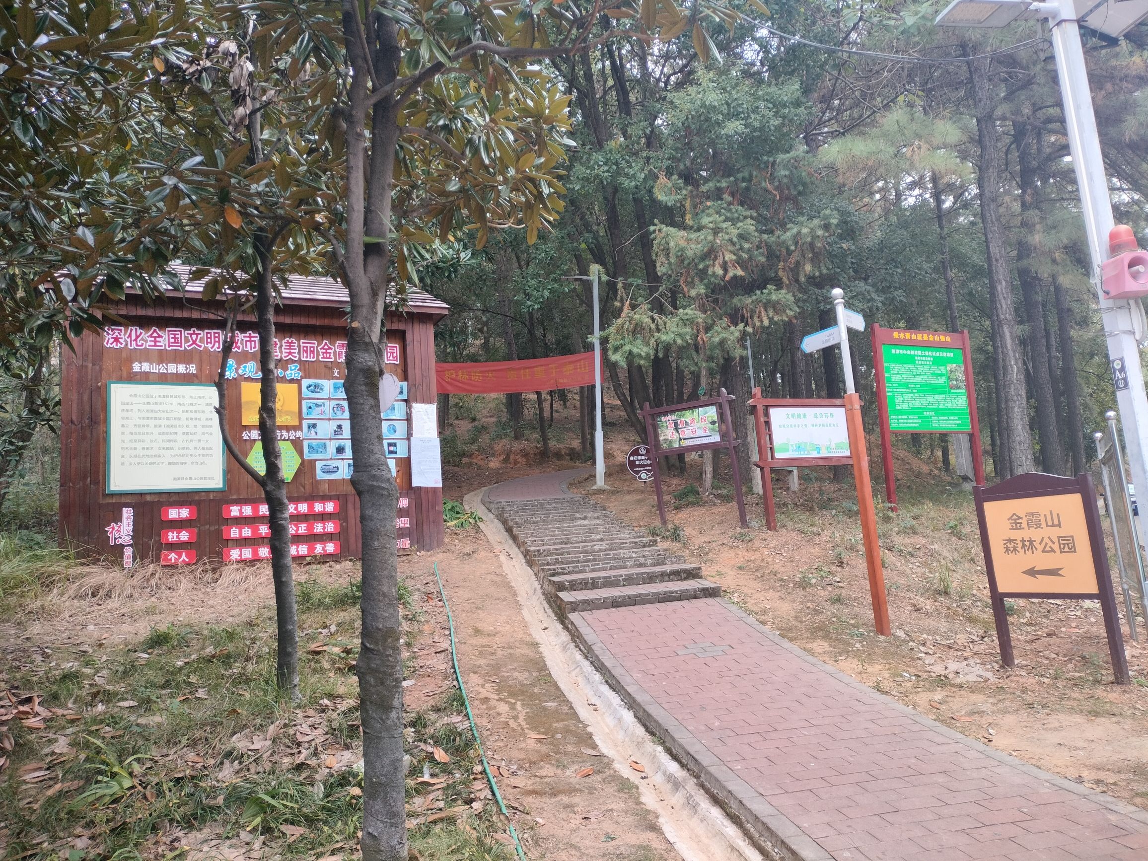 金霞山森林公园