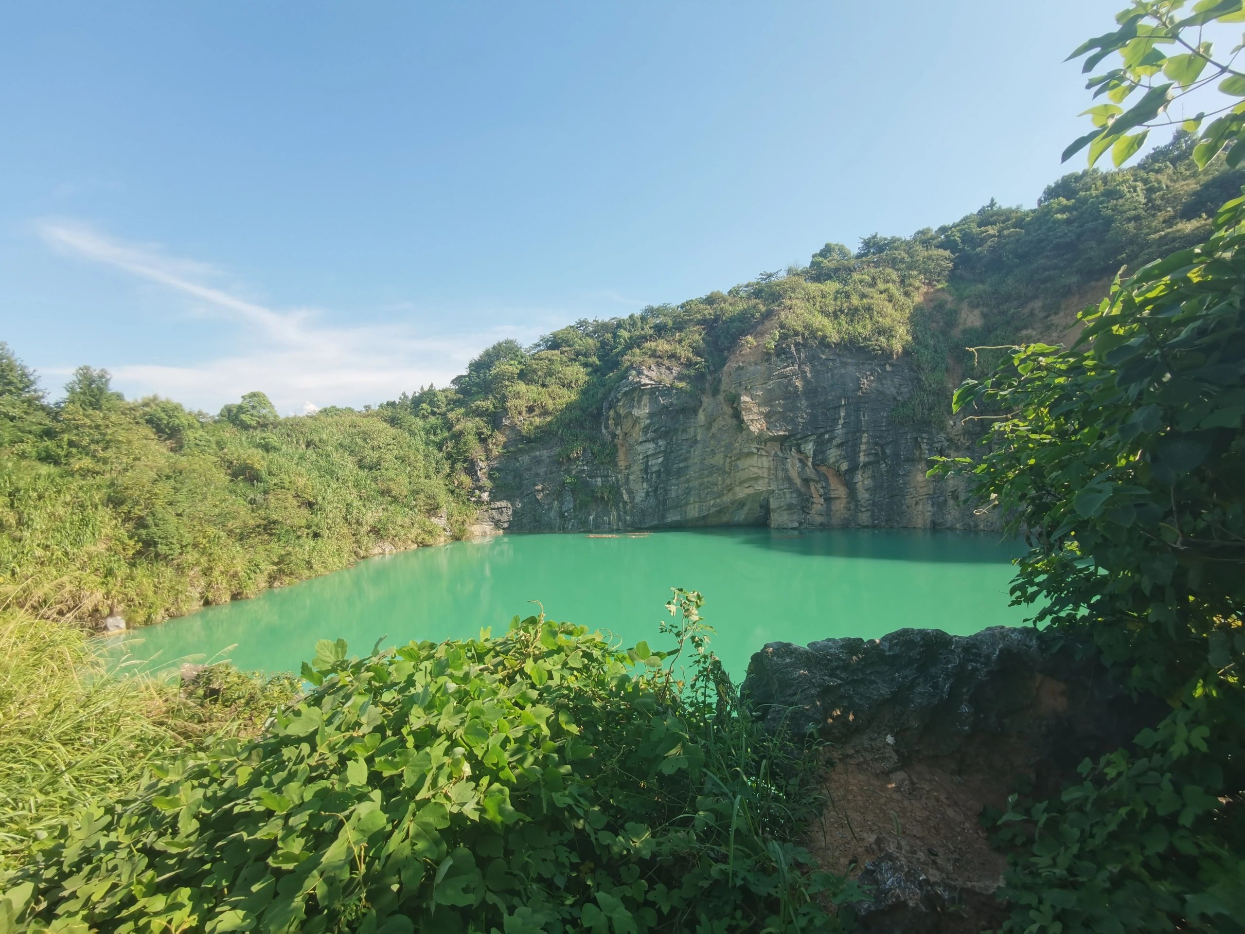 金霞山森林公园旅行图片 1