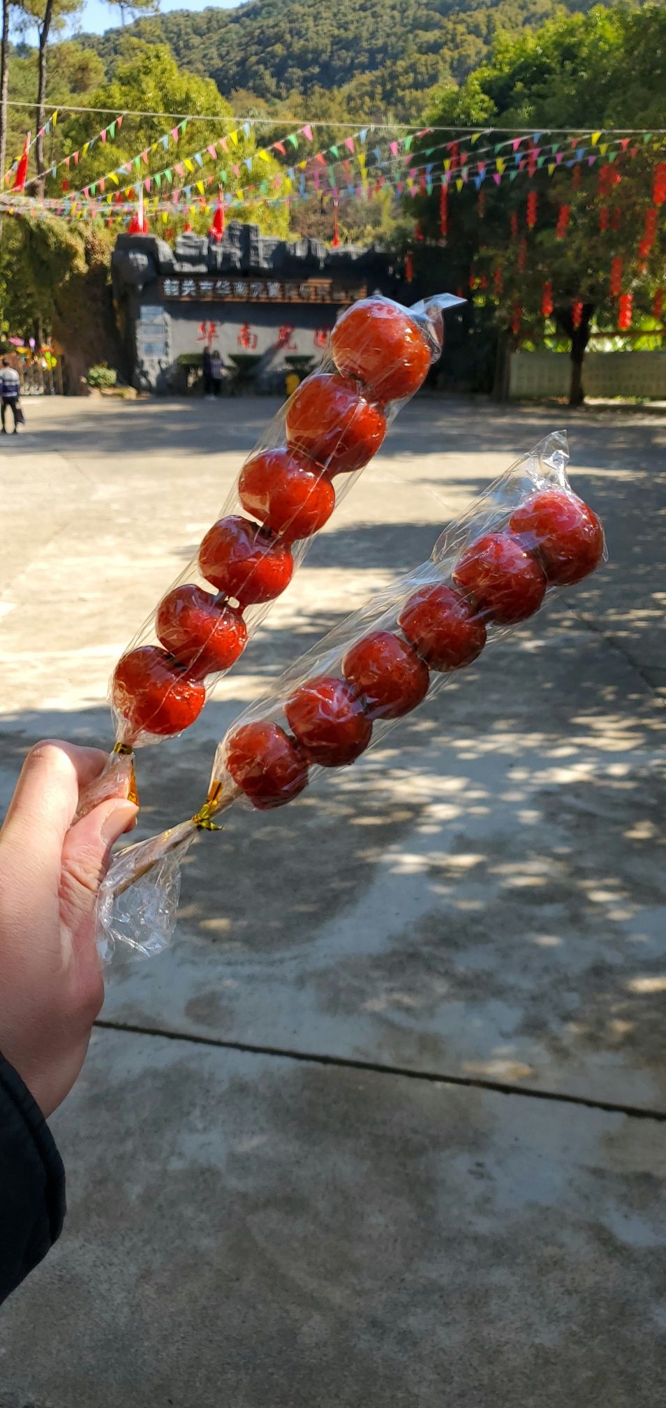 听涛旅行图片 3