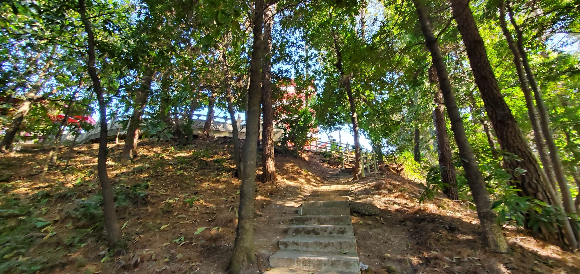 听涛旅行图片 1