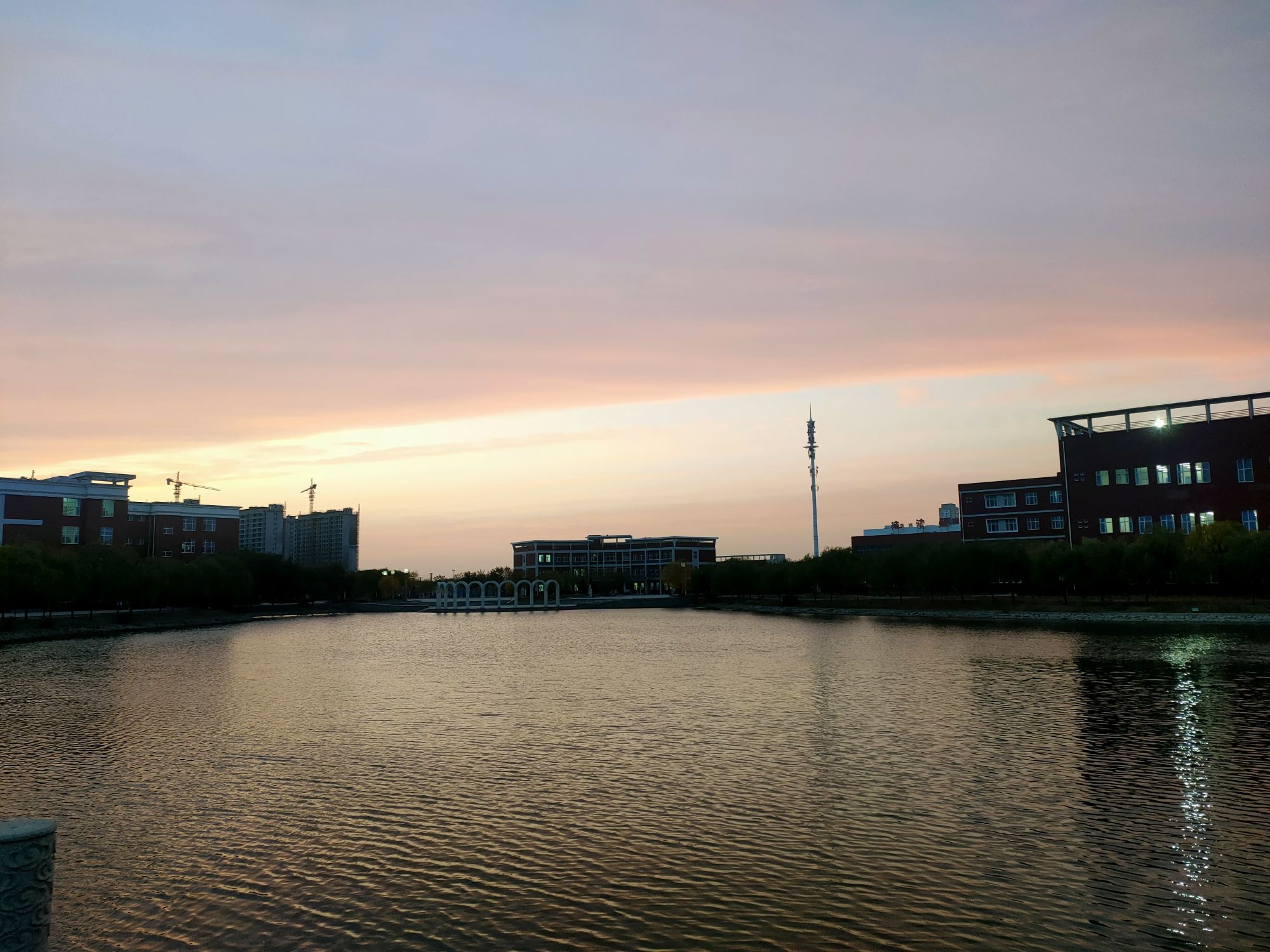 老干部公园旅行图片 1