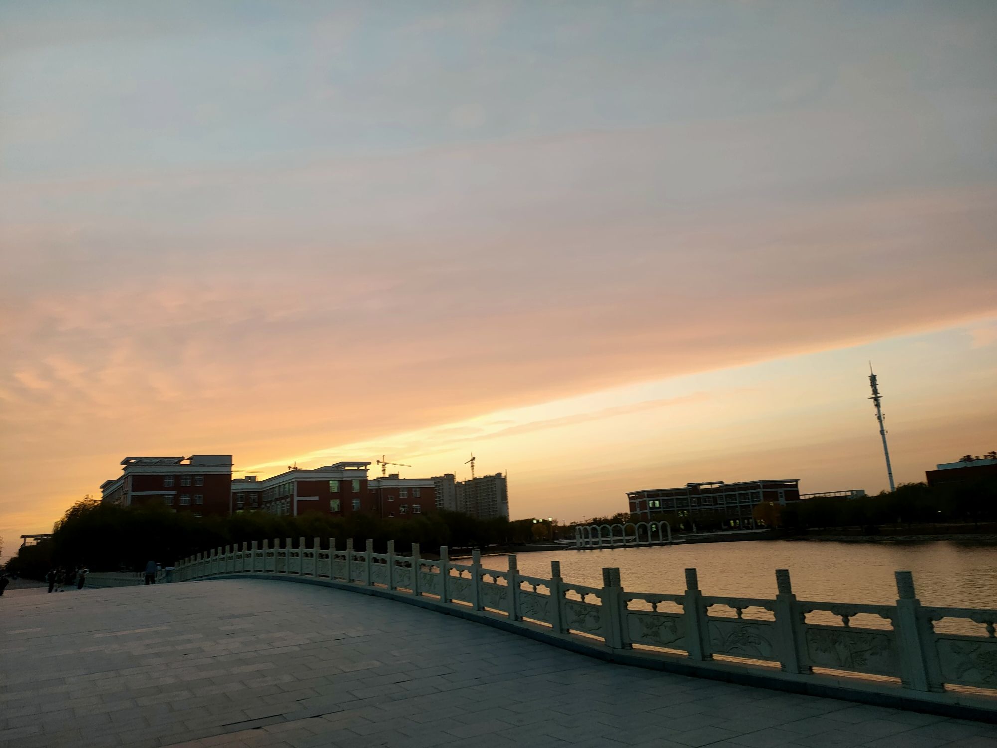 老干部公园旅行图片 3