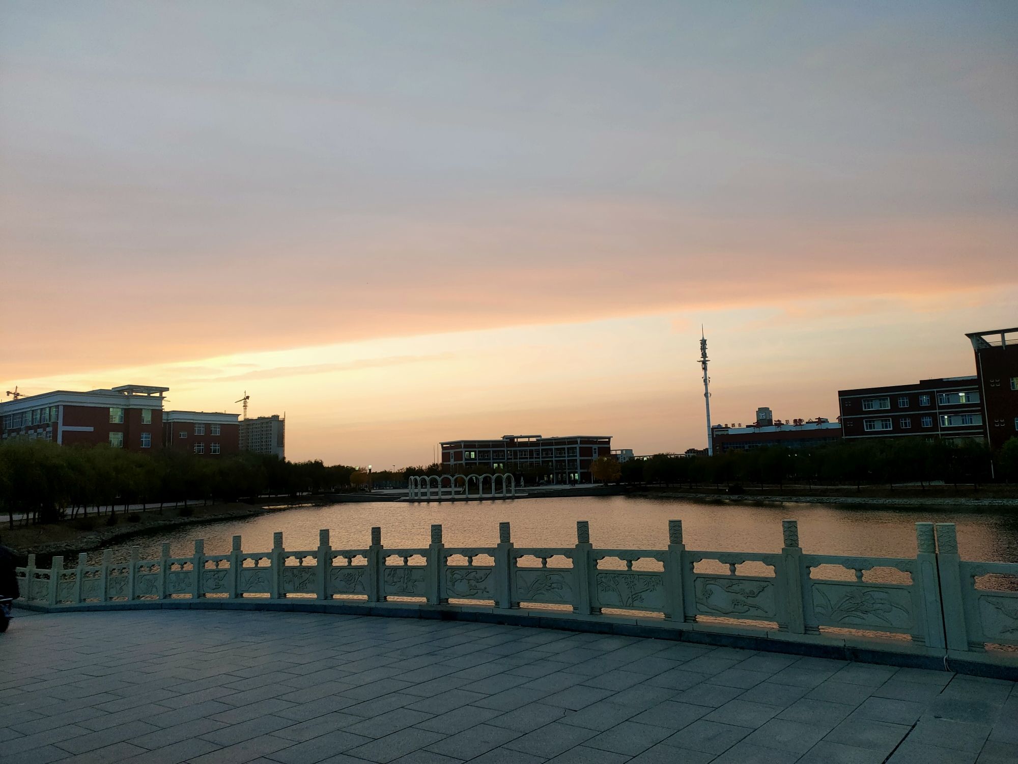 老干部公园旅行图片 2
