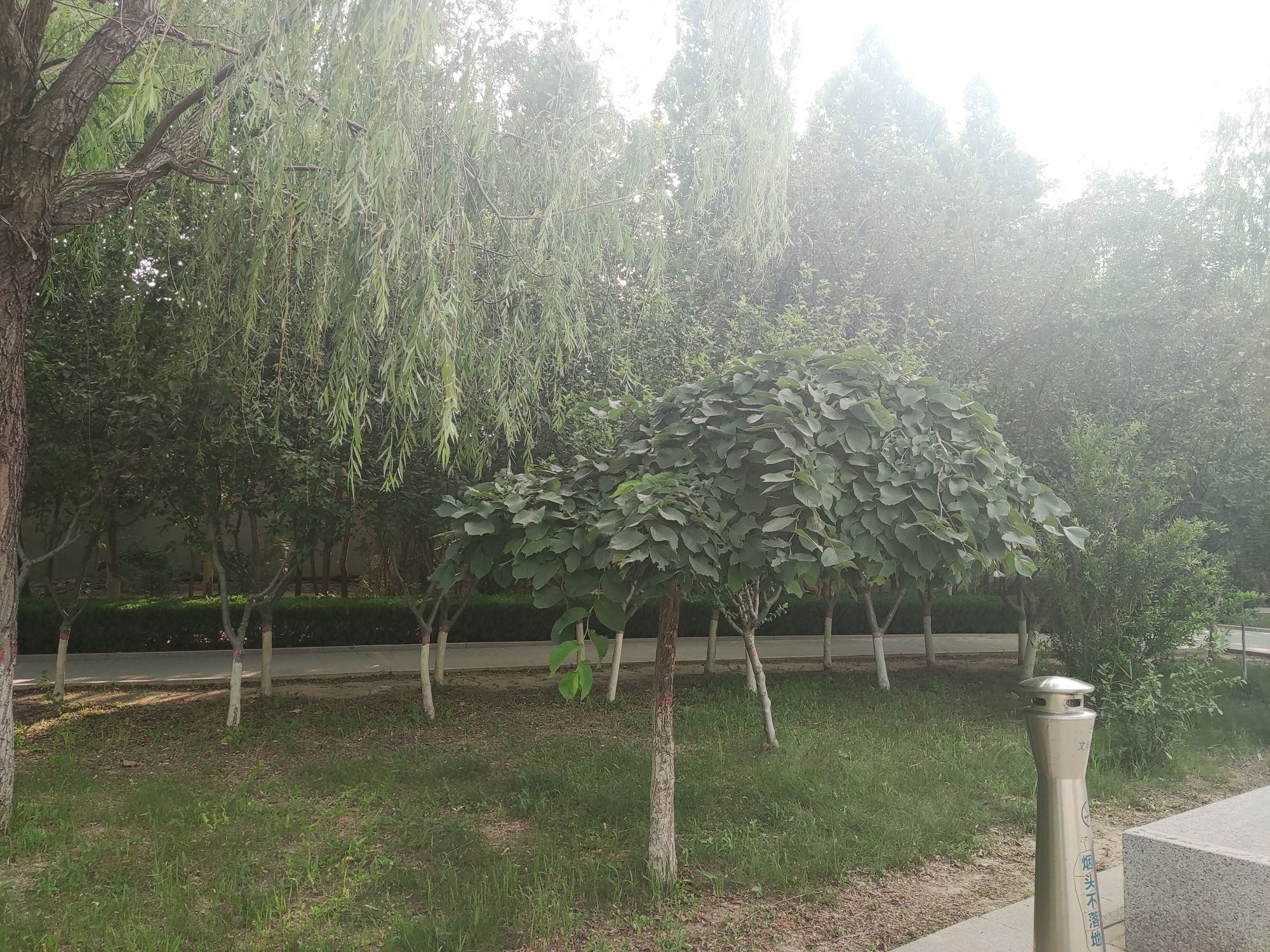 文昌公园旅行图片 1
