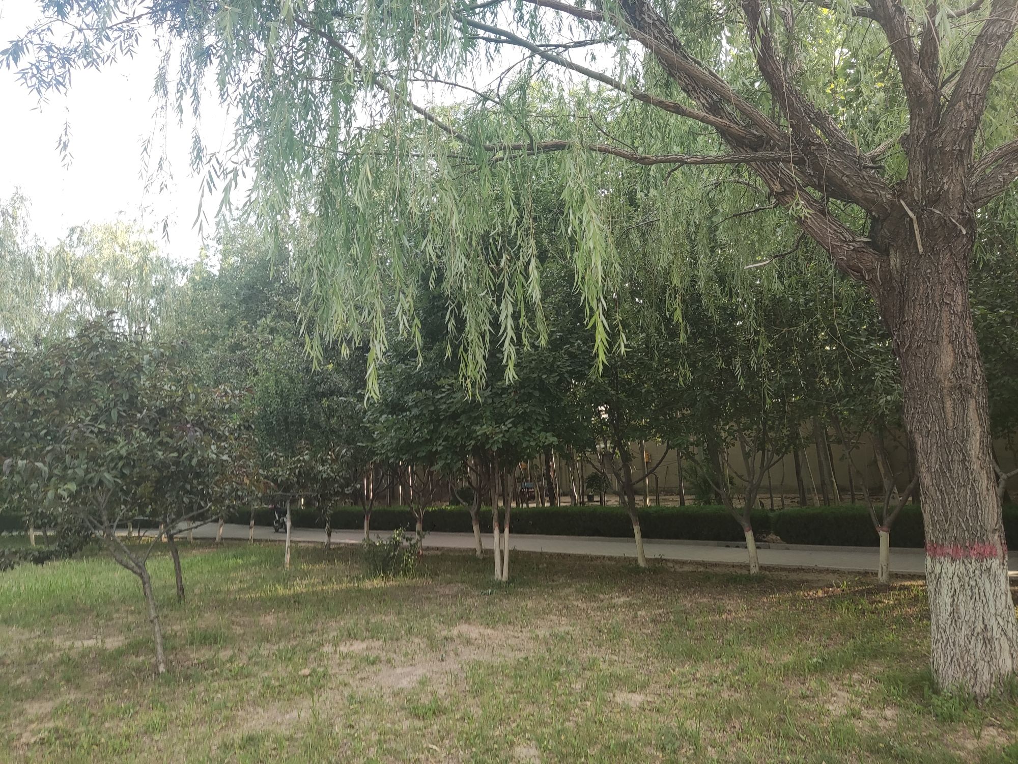 文昌公园旅行图片 2