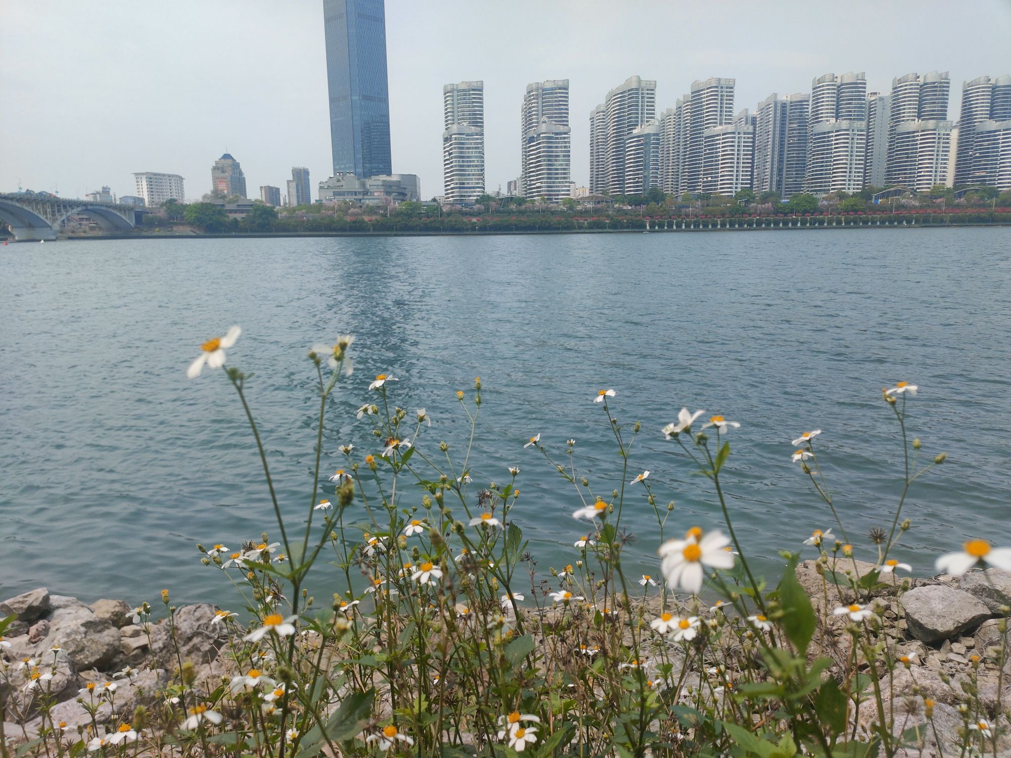 东堤游园旅行图片 3