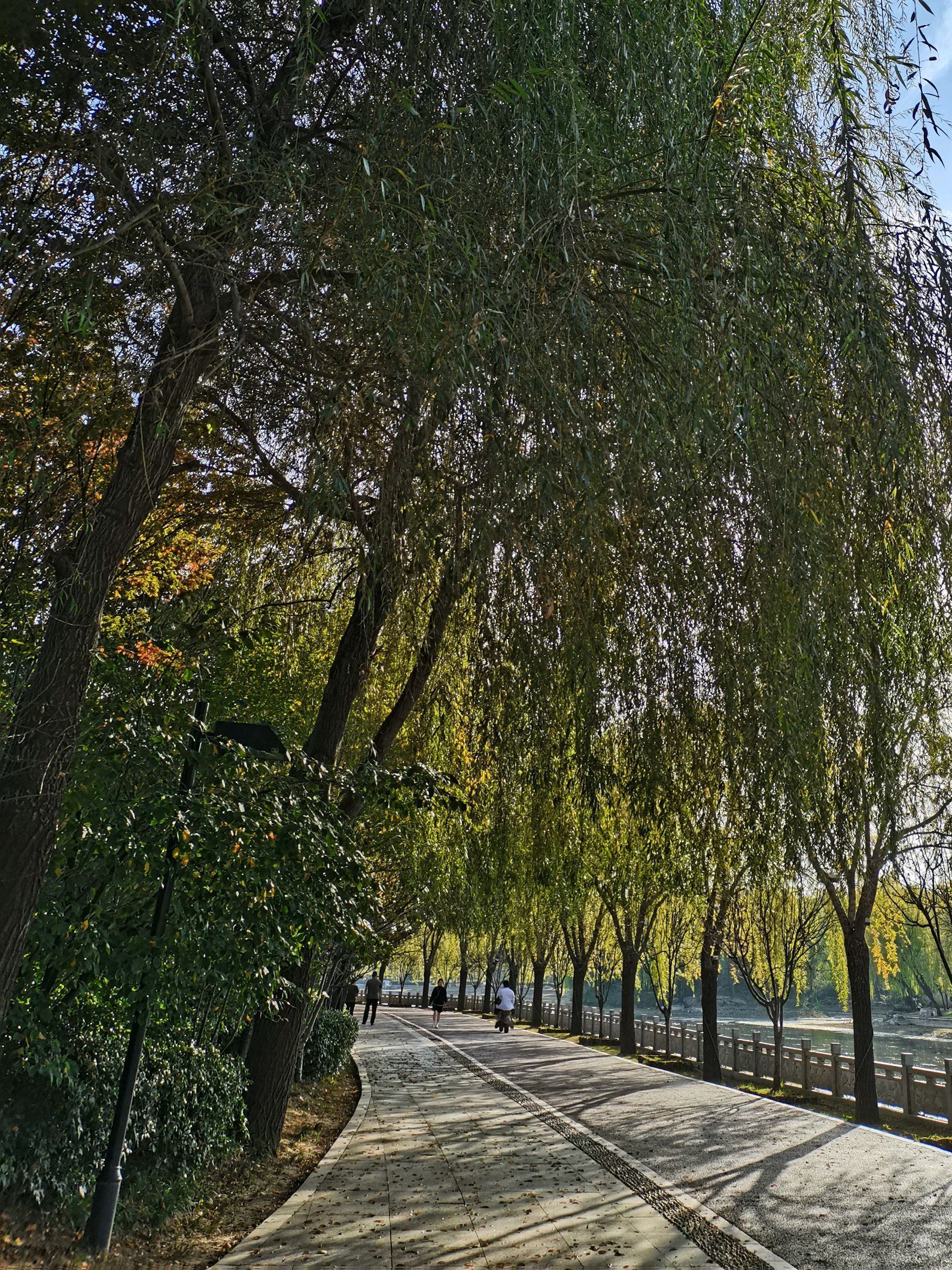 北海公园旅行图片 3