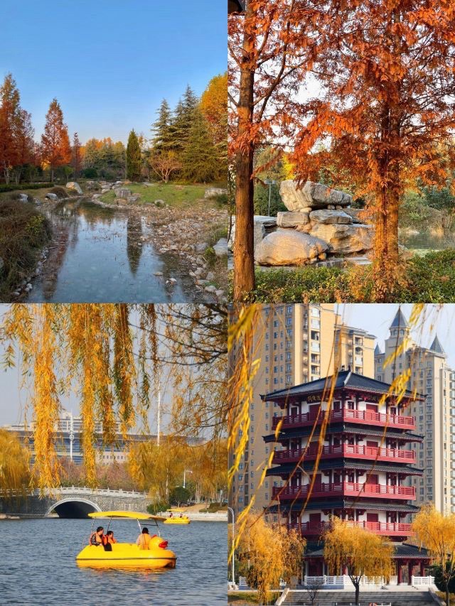 北海公园旅行图片 1