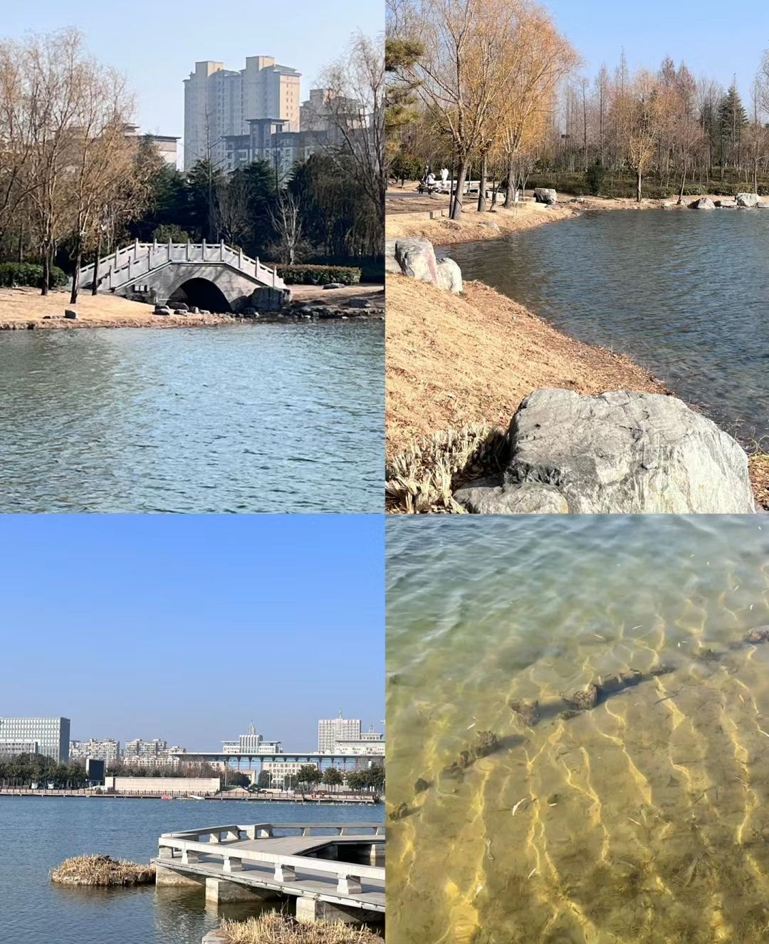 北海公园旅行图片 3