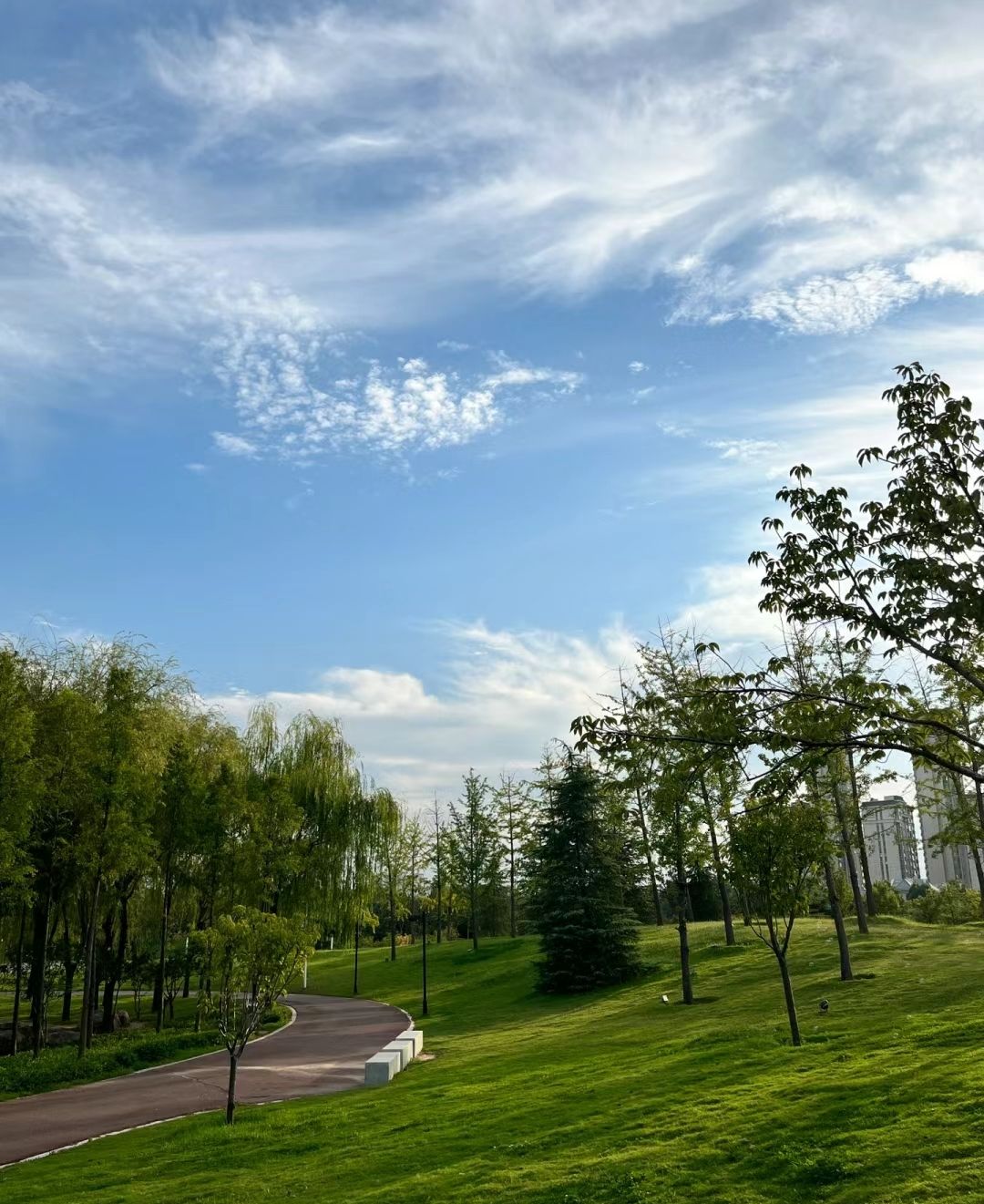 北海公园旅行图片 1