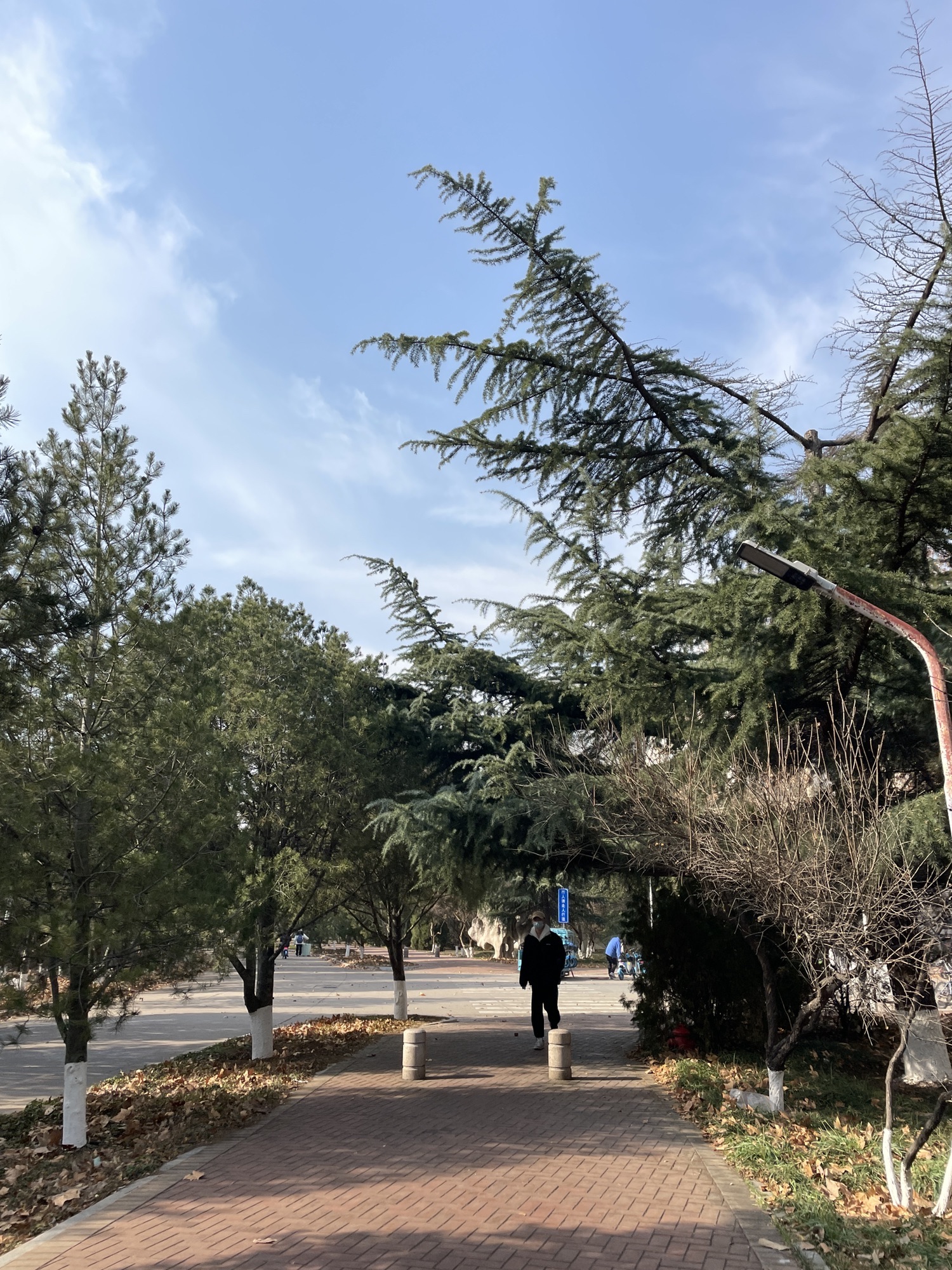 锦绣川景区旅行图片 2