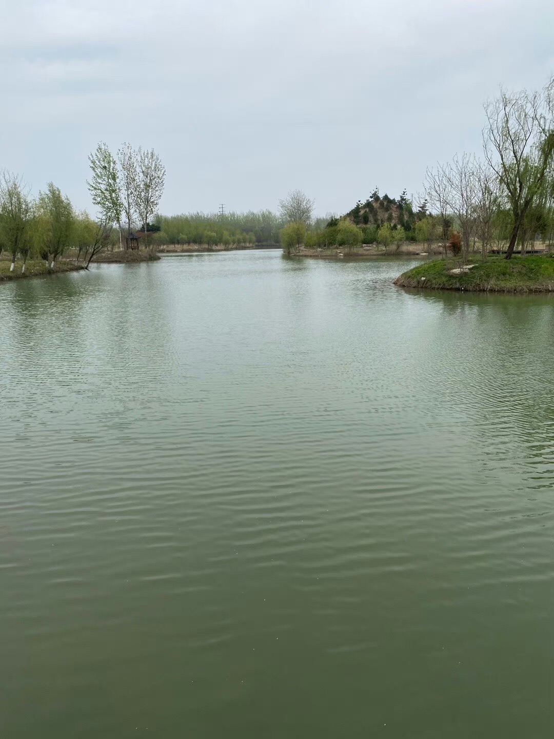 江苏睢宁白塘河湿地公园旅行图片 3