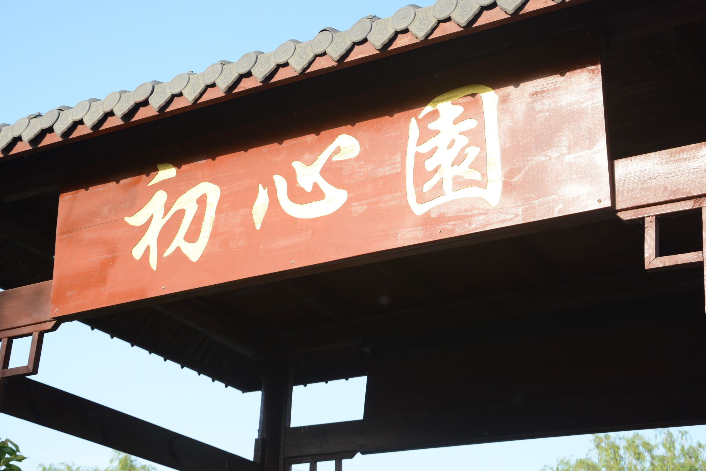 江苏睢宁白塘河湿地公园旅行图片 1