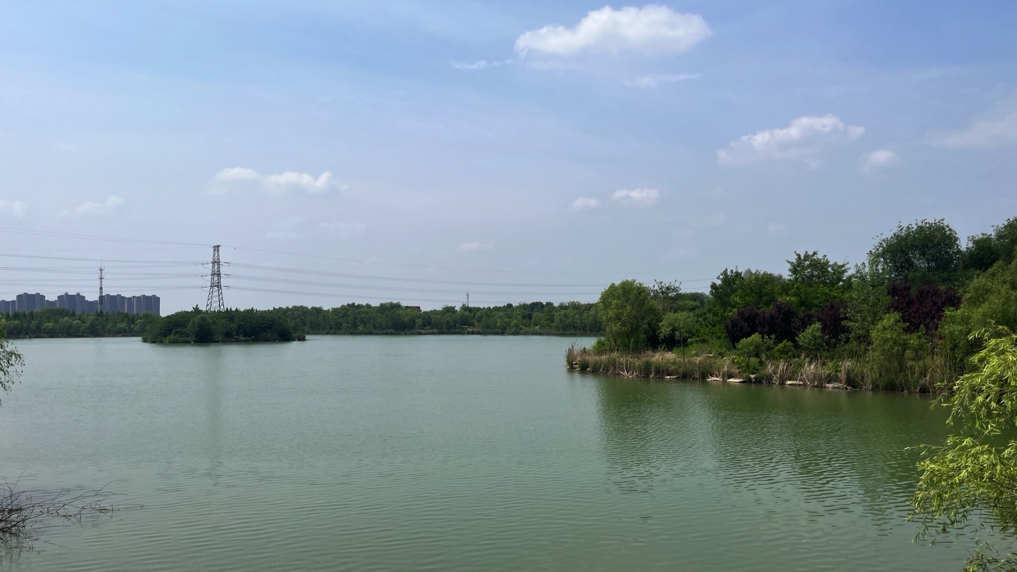 江苏睢宁白塘河湿地公园