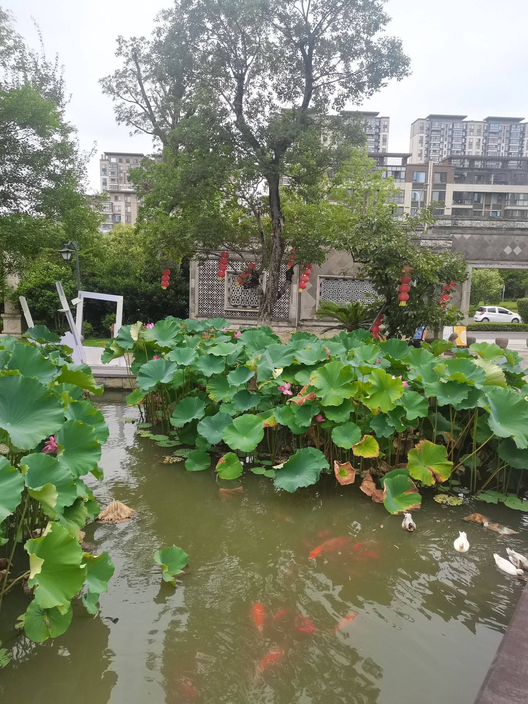 善园旅行图片 3