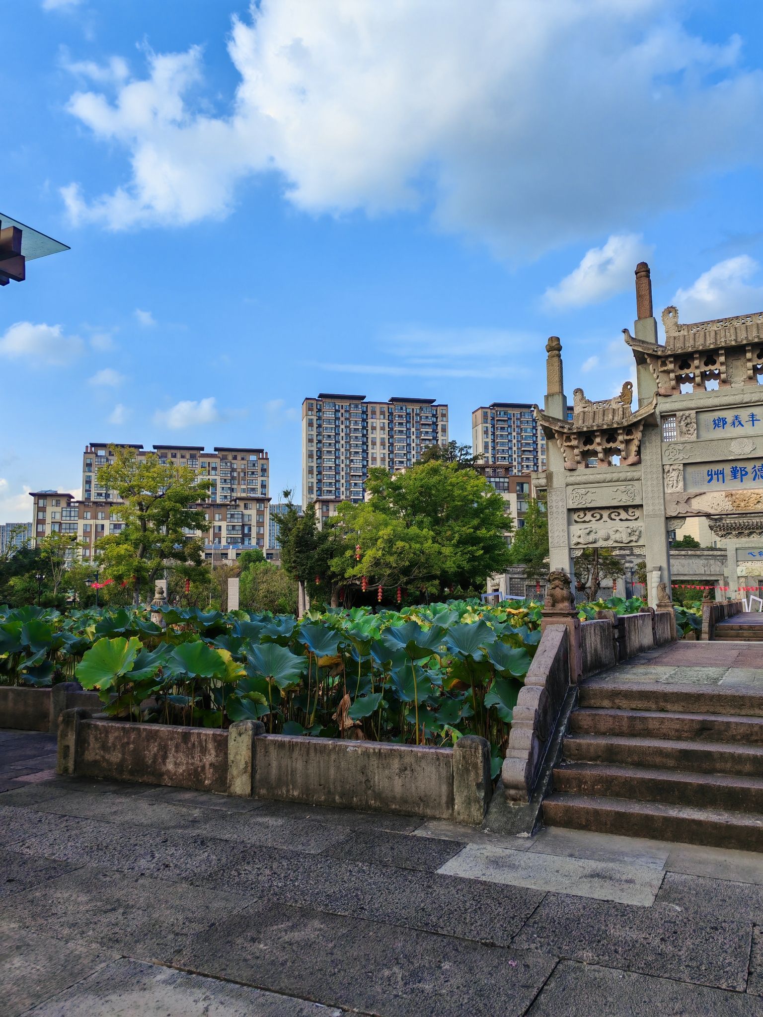 善园旅行图片 2