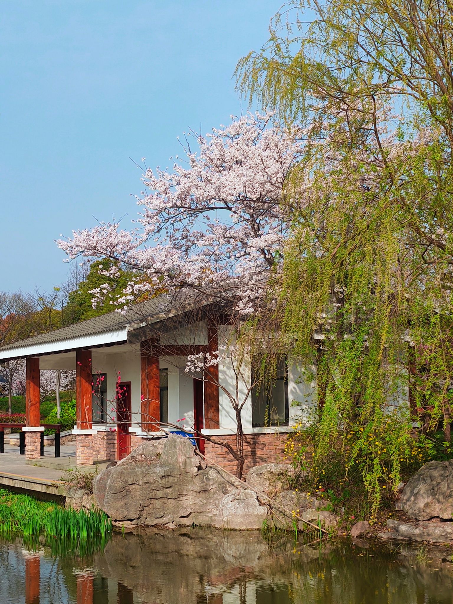 茜泾塘滨河公园