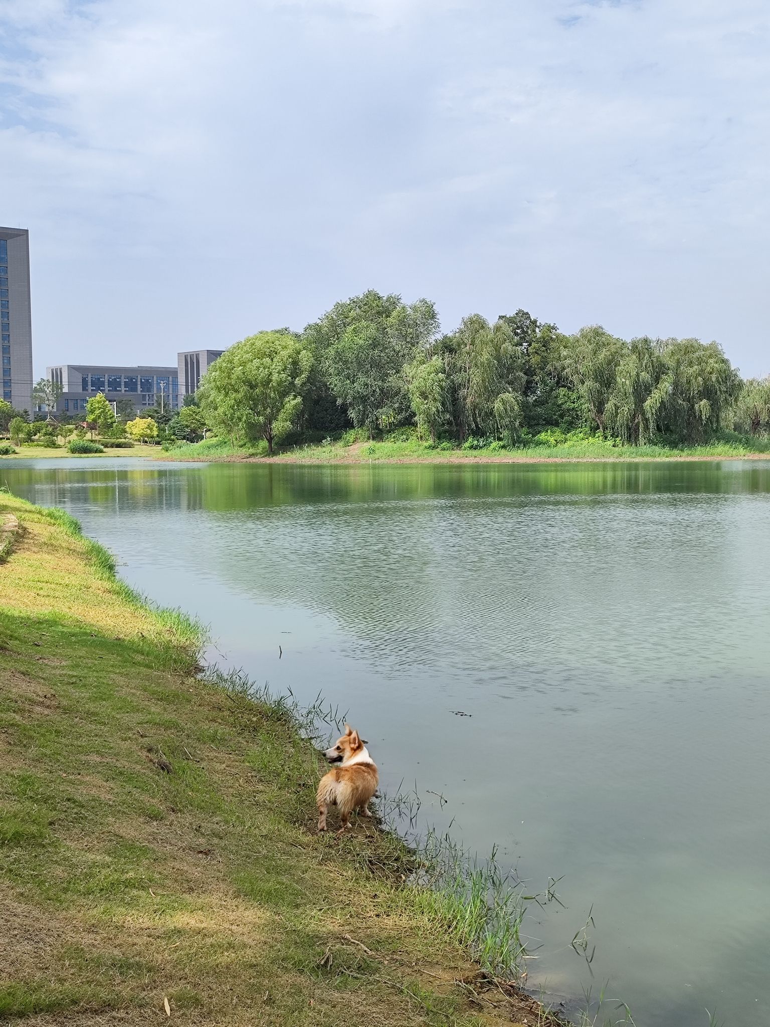 飞龙湖旅行图片 3