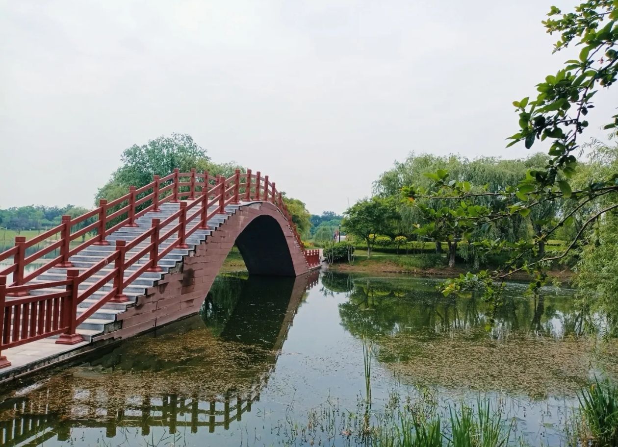飞龙湖旅行图片 3