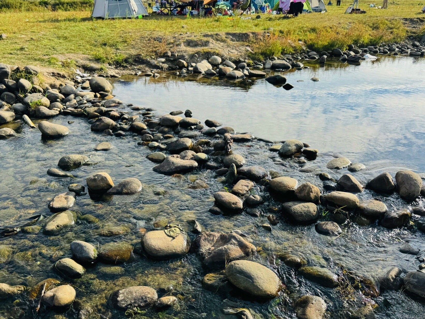 罗坑大草原旅行图片 3