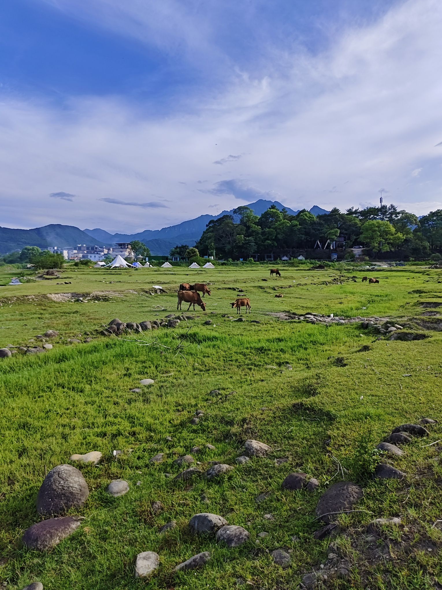 罗坑大草原旅行图片 1