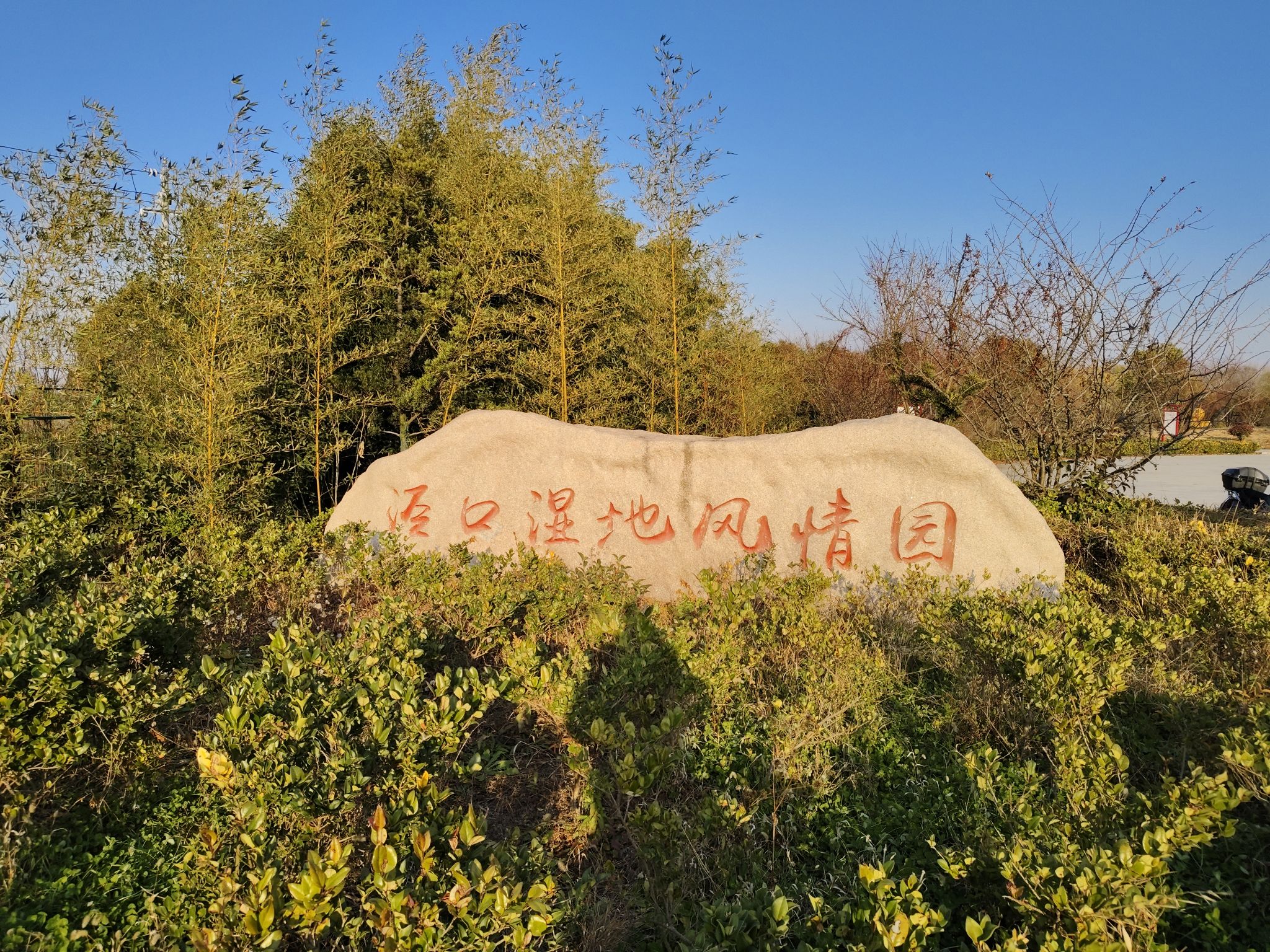 泾口湿地风情园旅行图片 2