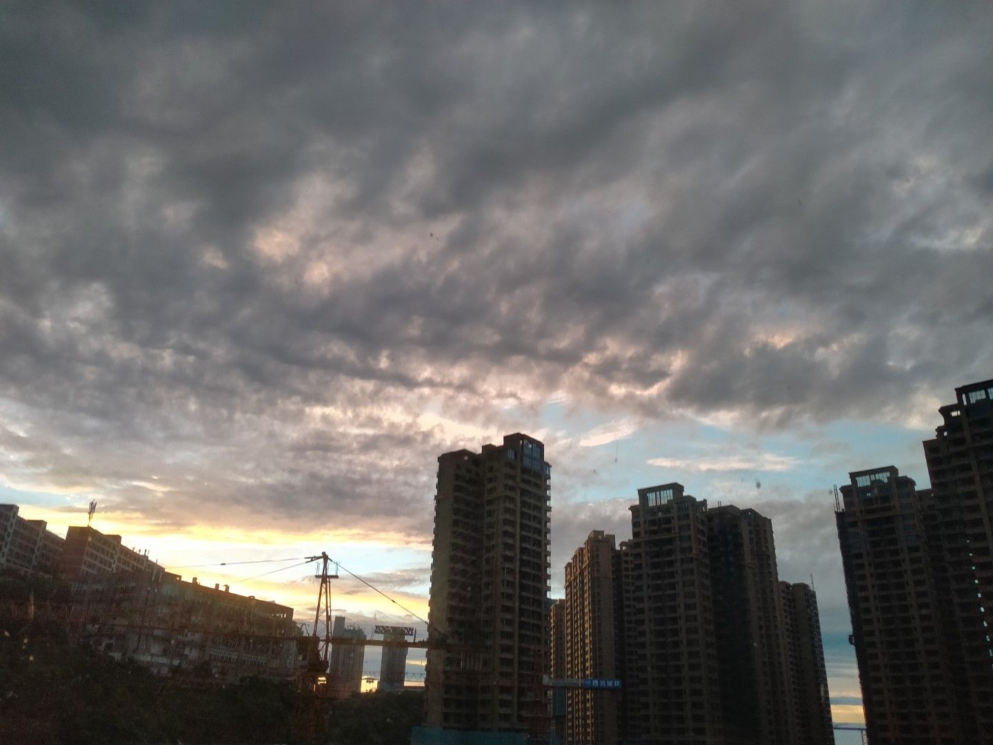 荔枝文化广场旅行图片 3