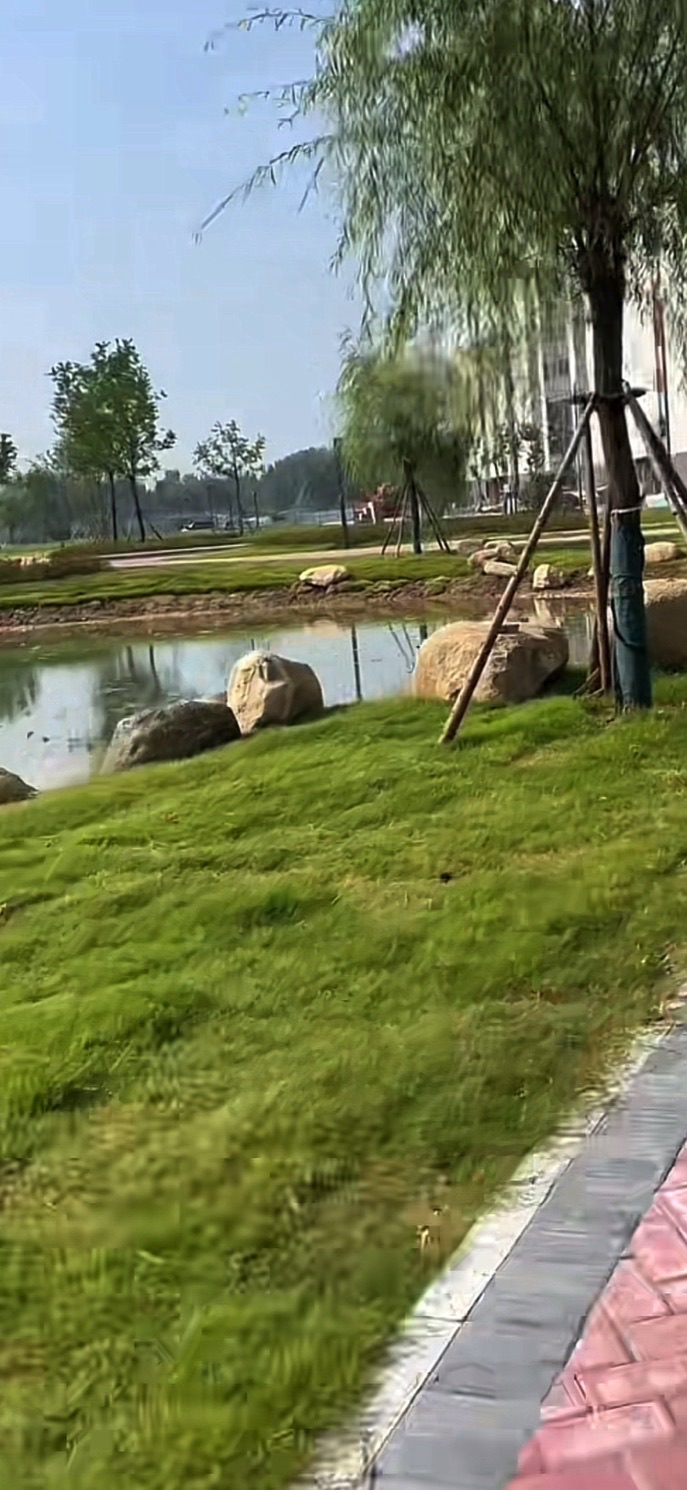 河南大学濮阳工学院