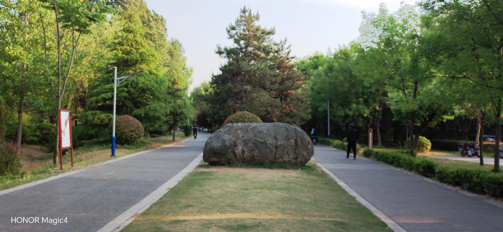 城市森林公园旅行图片 2