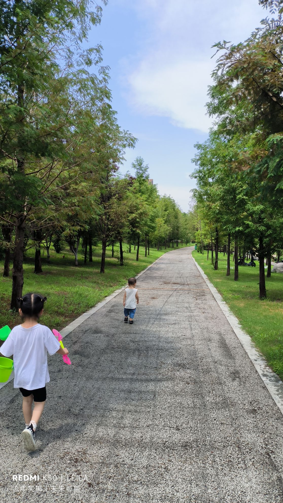 城市森林公园旅行图片 2