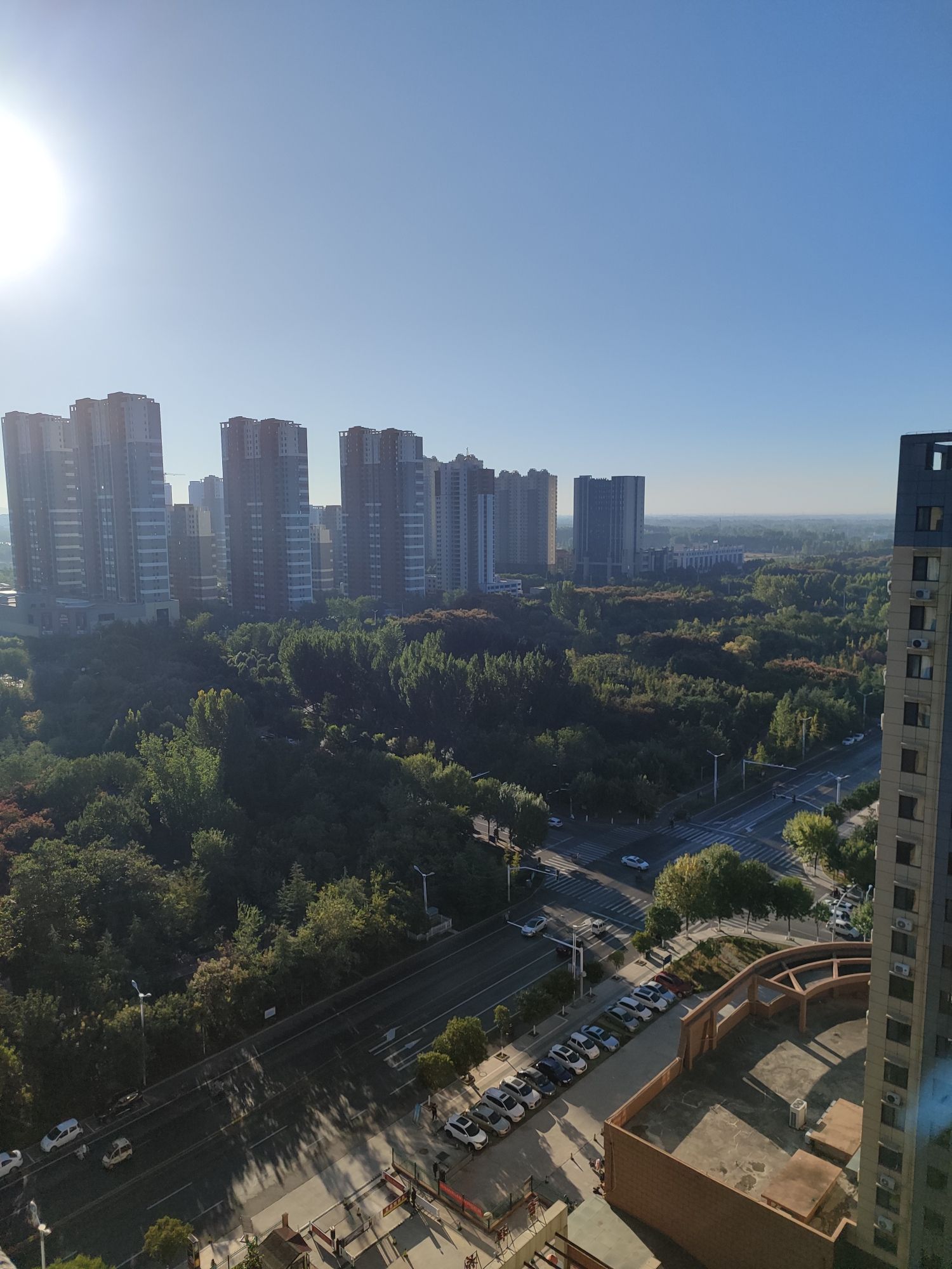 城市森林公园的第3张图片的图片资料