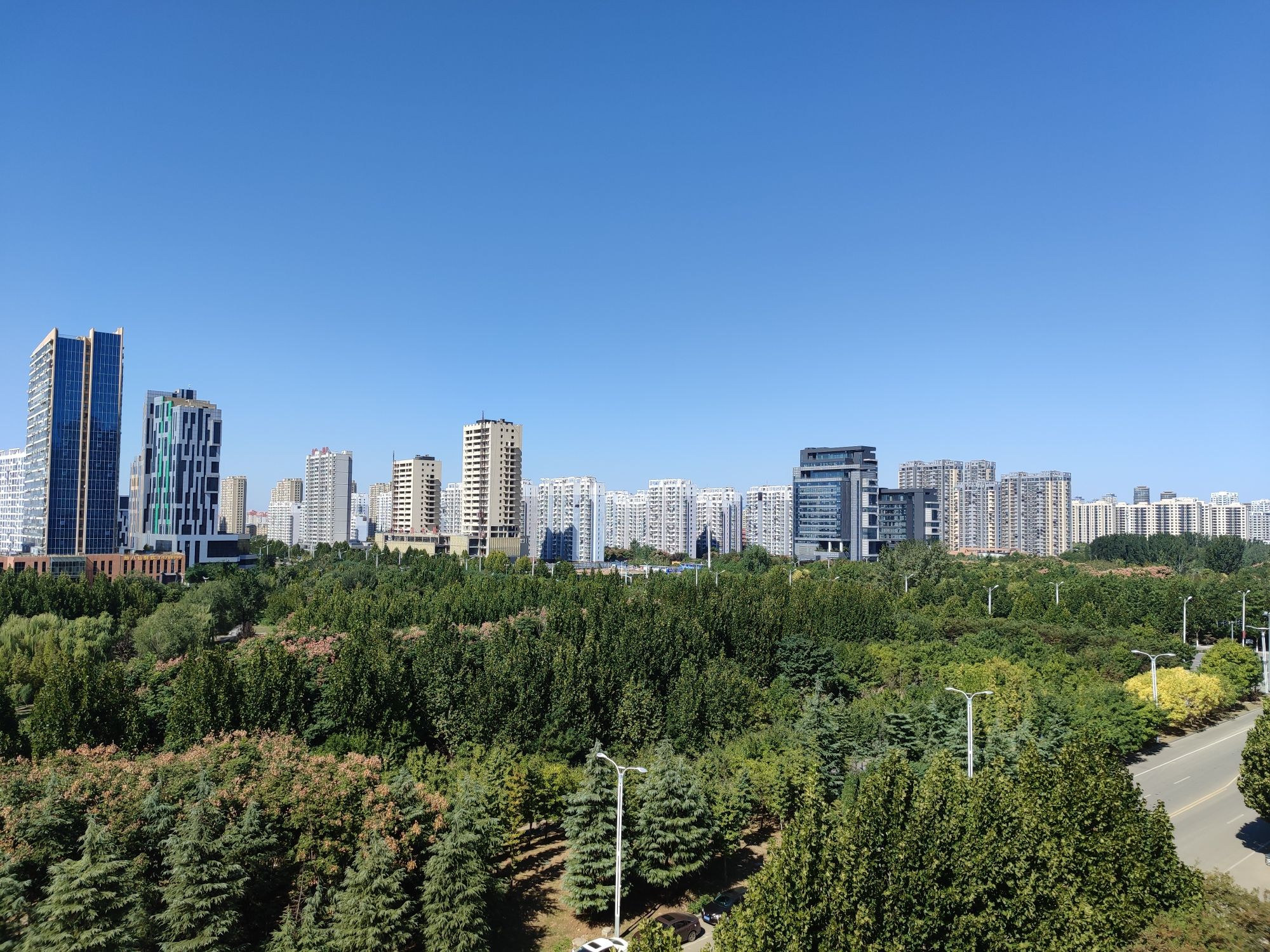 城市森林公园的第2张图片的图片资料