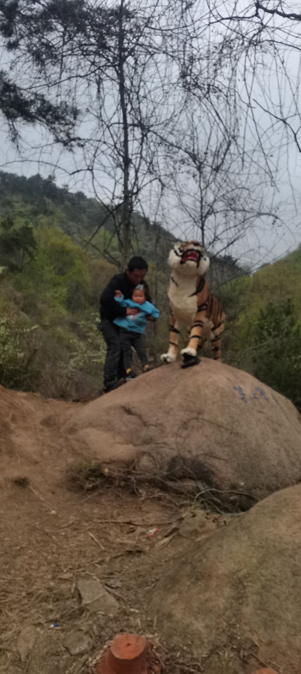 铜陵大山生态旅游区旅行图片 3