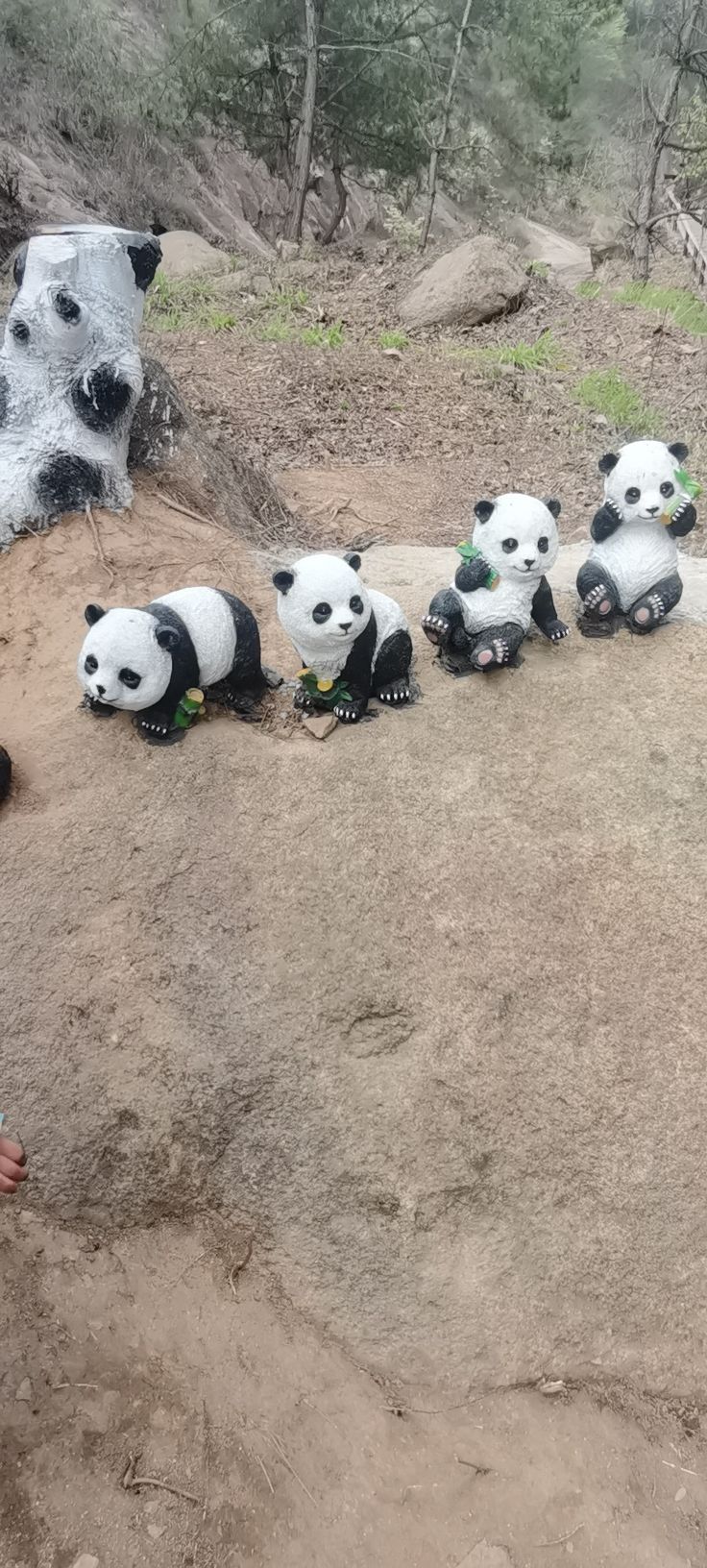 铜陵大山生态旅游区旅行图片 1