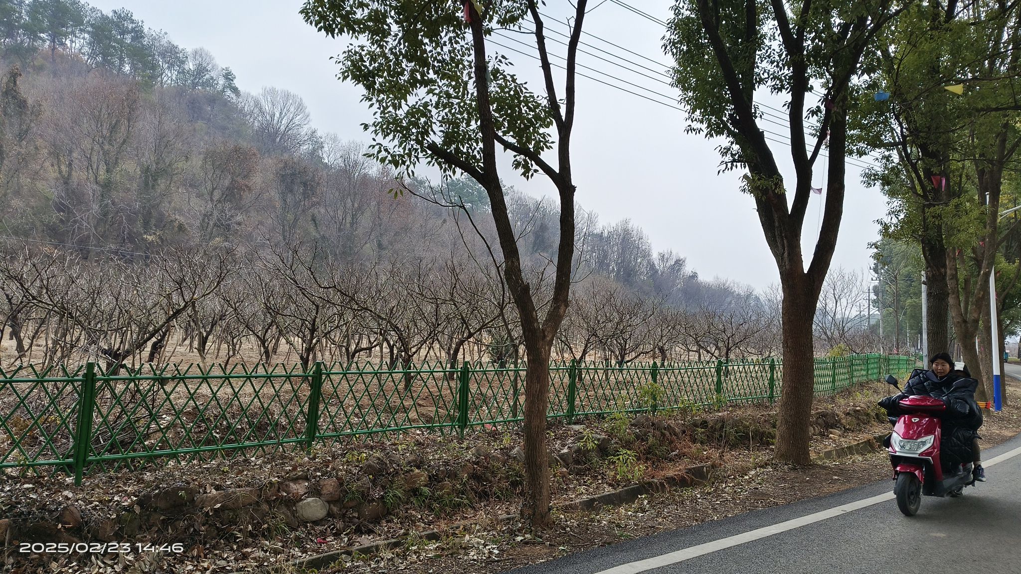 铜陵大山生态旅游区旅行图片 2