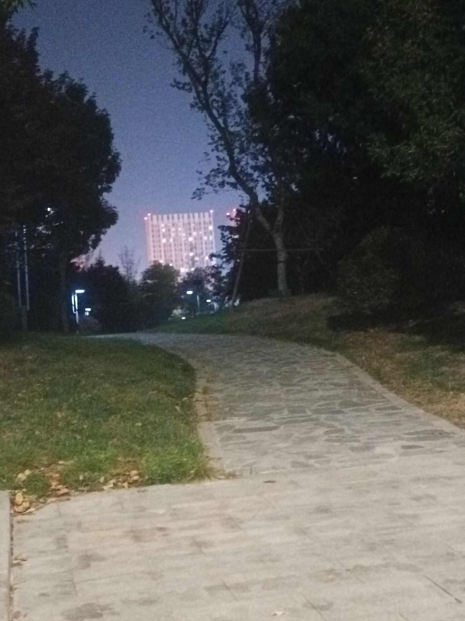 唐冶山公园旅行图片 1