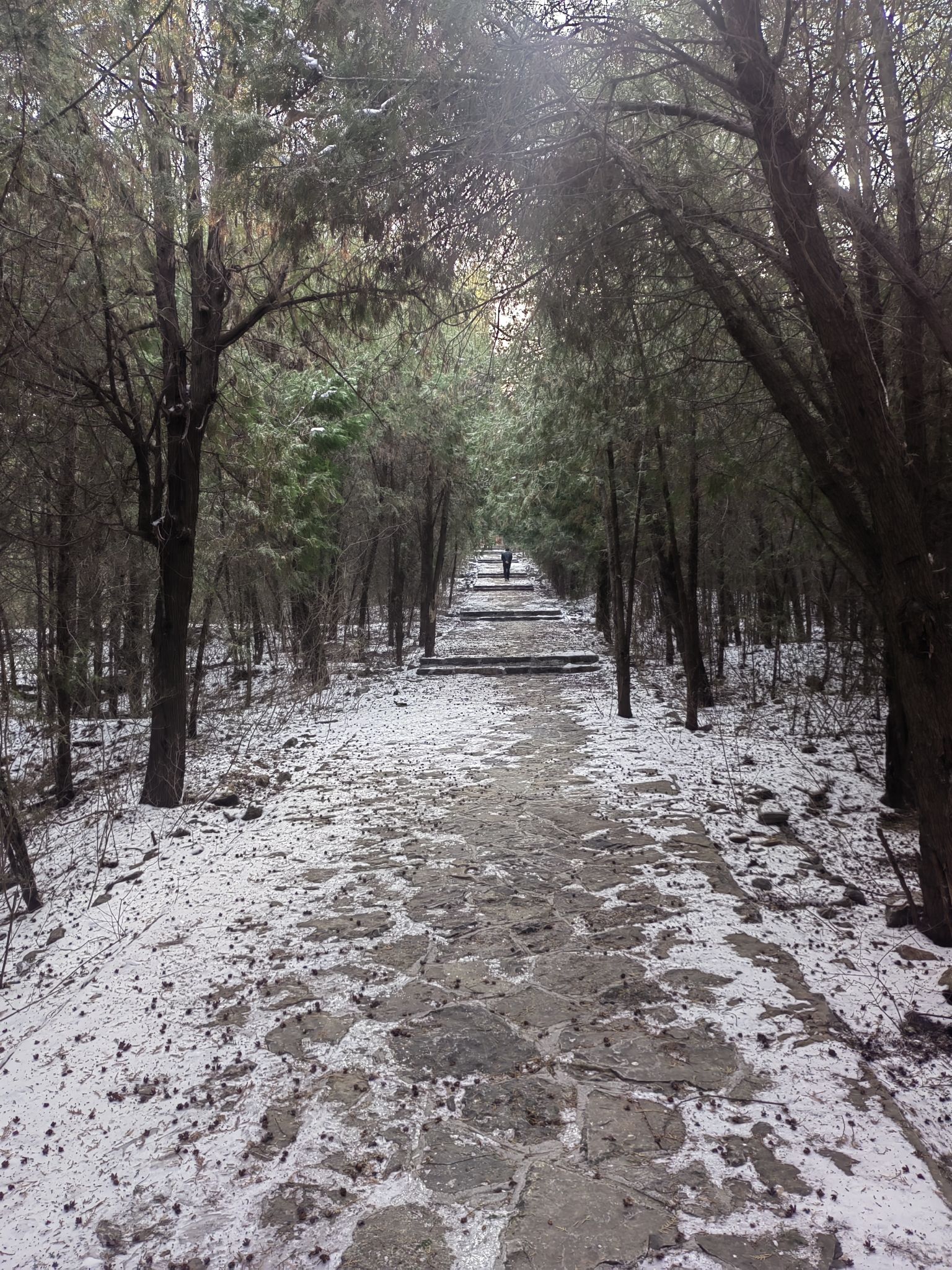 唐冶山公园旅行图片 2