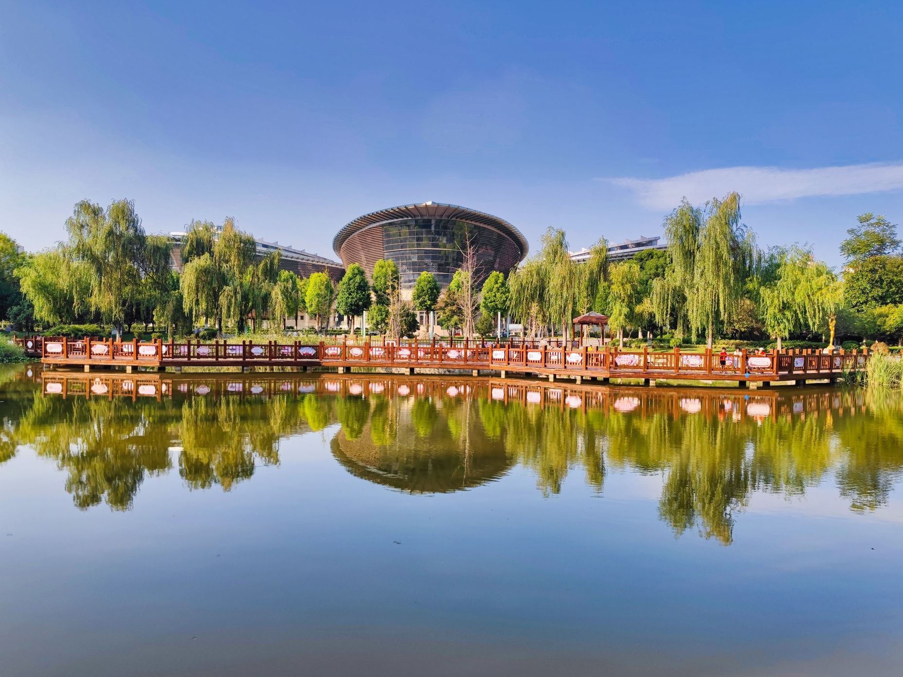 梨花广场旅行图片 1