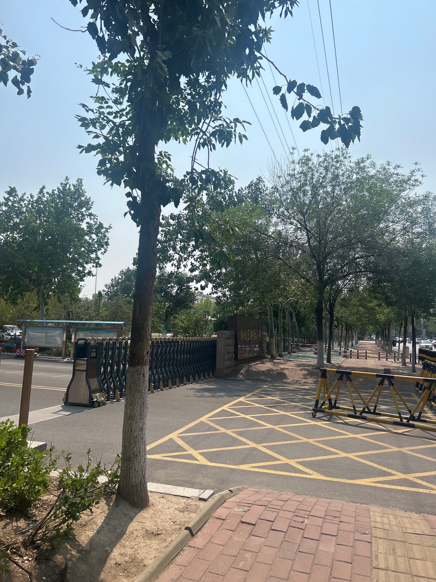 滨城区清怡小学