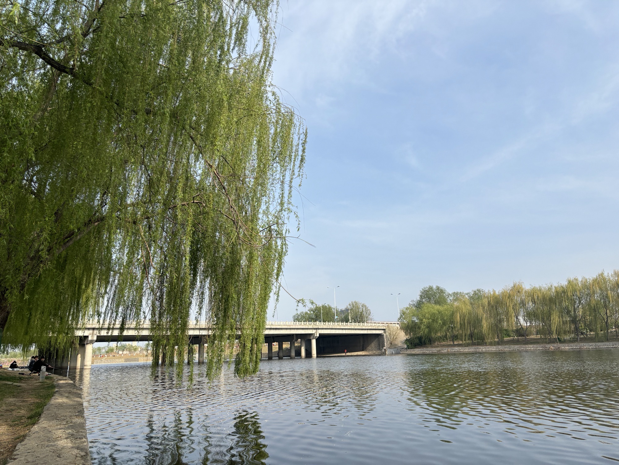 泮河公园旅行图片 3