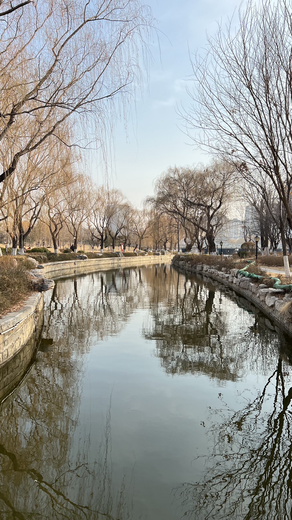泮河公园旅行图片 1