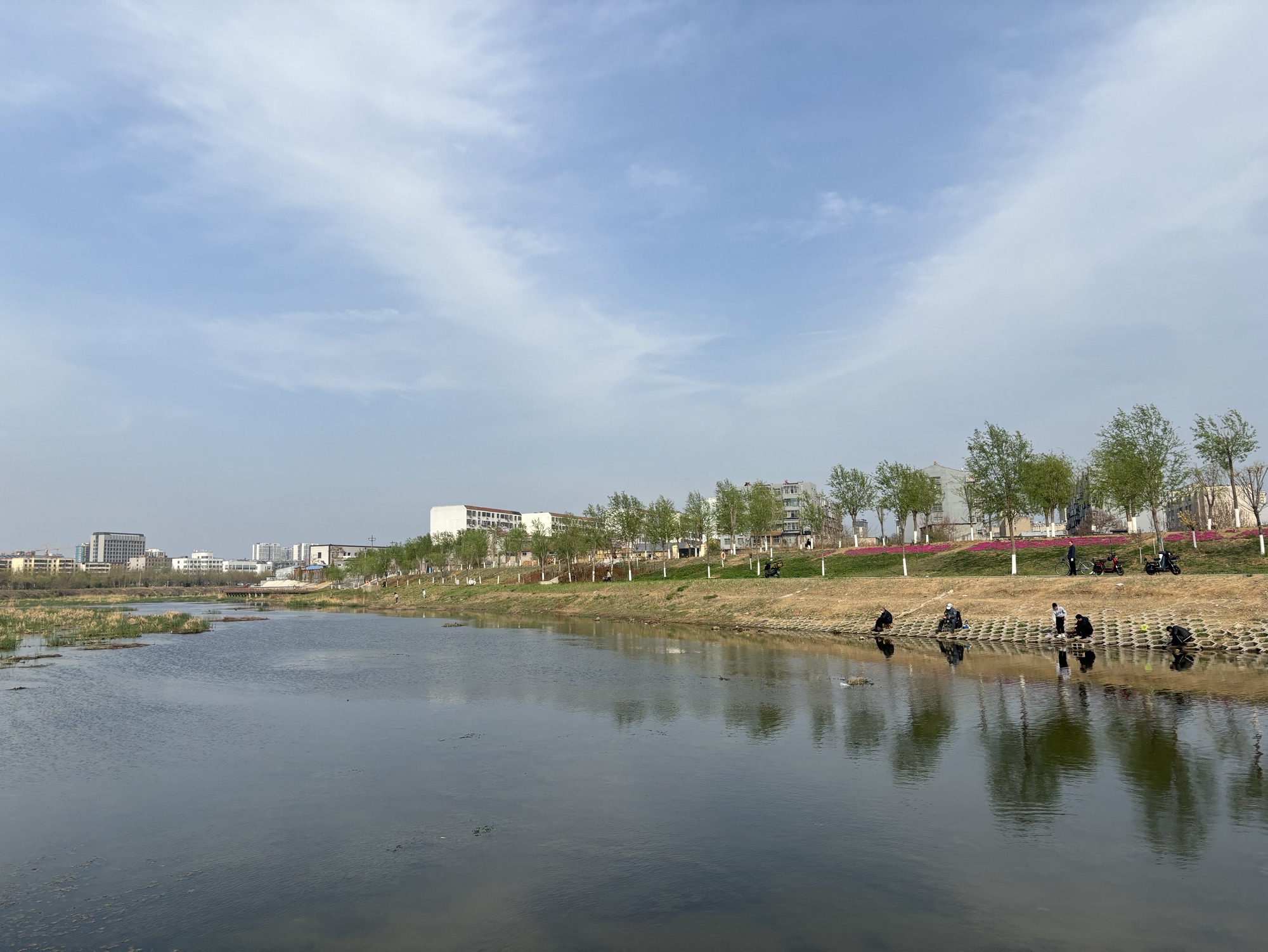 泮河公园旅行图片 2