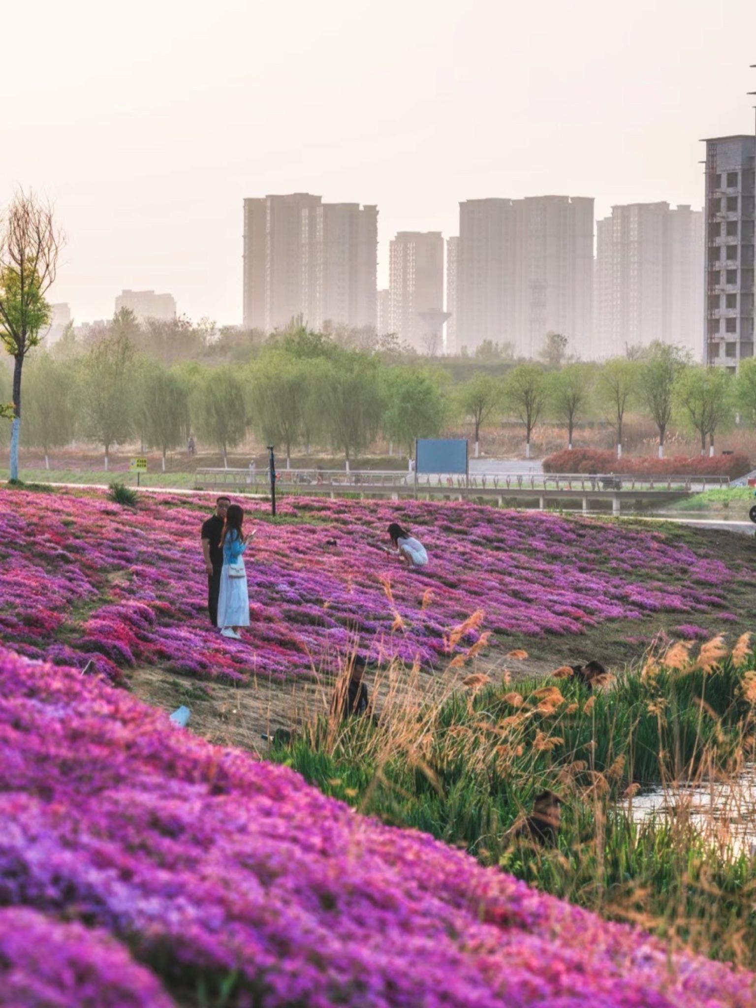 泮河公园旅行图片 3