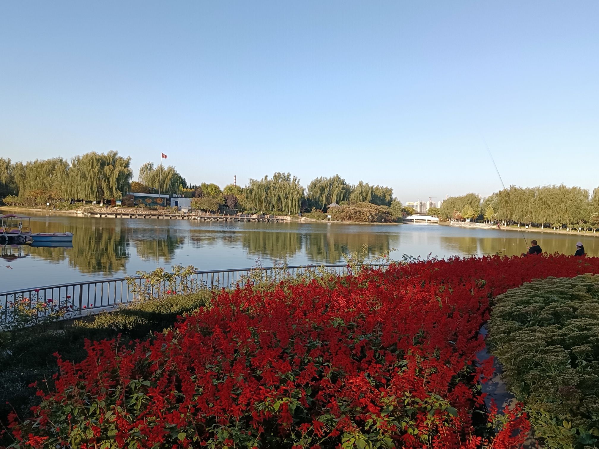 旭升公园旅行图片 3